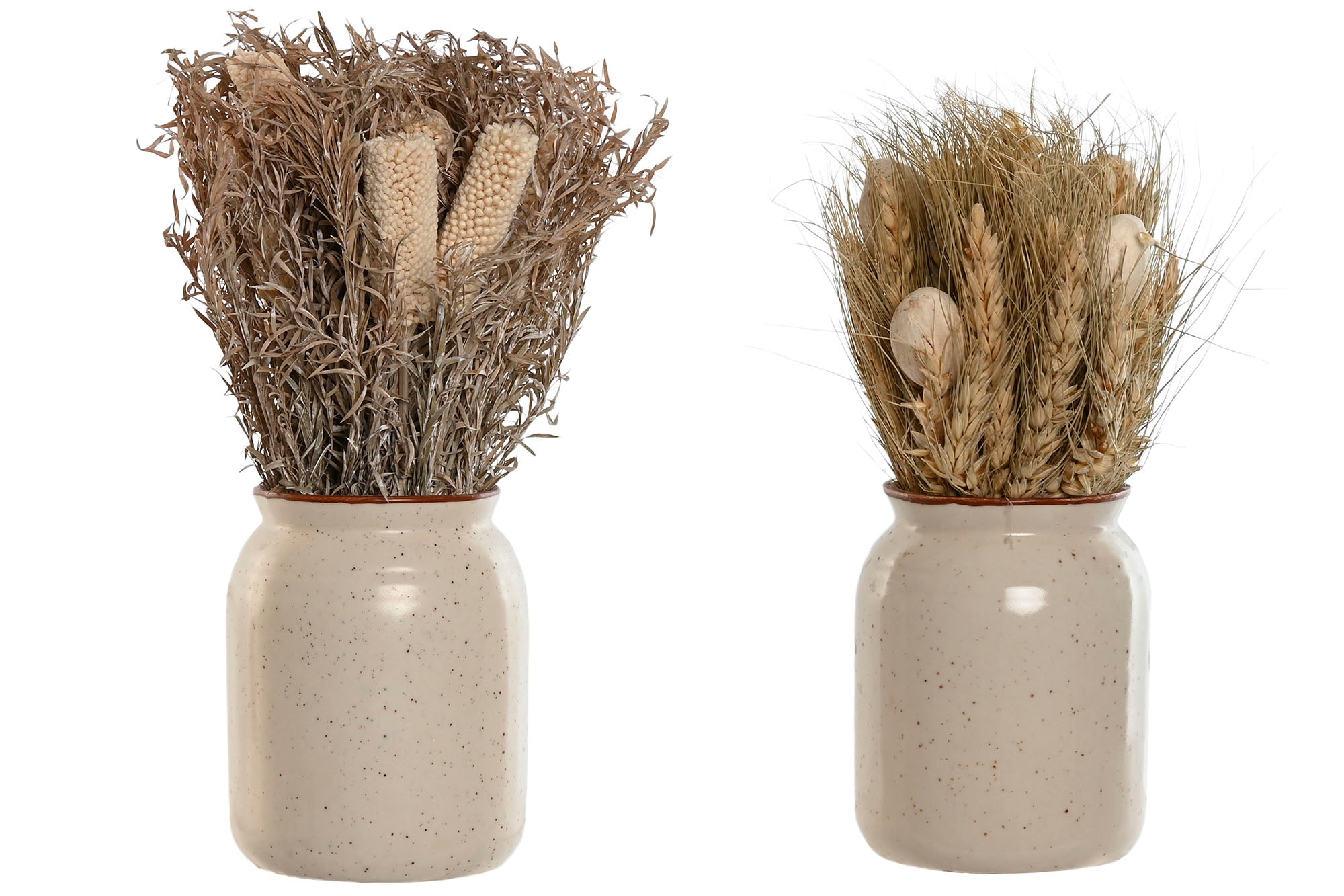 PACK DE 2 PLANTA FLOR SECA 13X13X25 2 SURT.