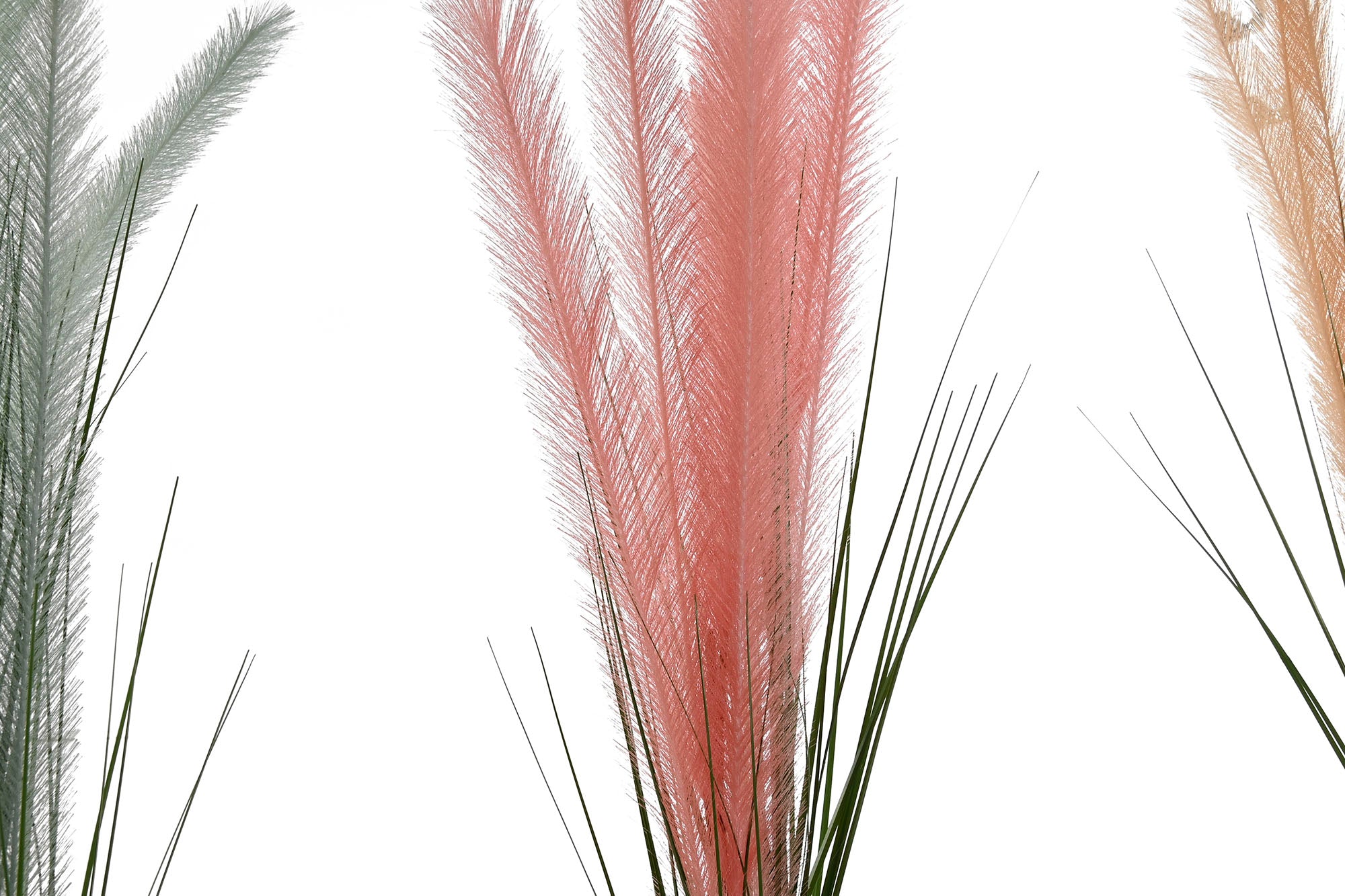 PACK DE 6 RAMA POLIESTER EVA 25X5X109 PLUMERO 3 SURT.