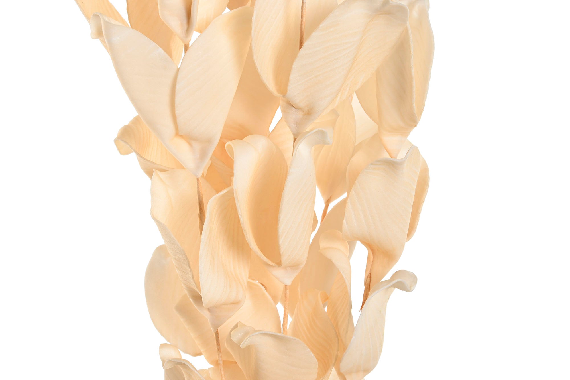 PACK DE 6 RAMA EVA 18X10X107 BEIGE