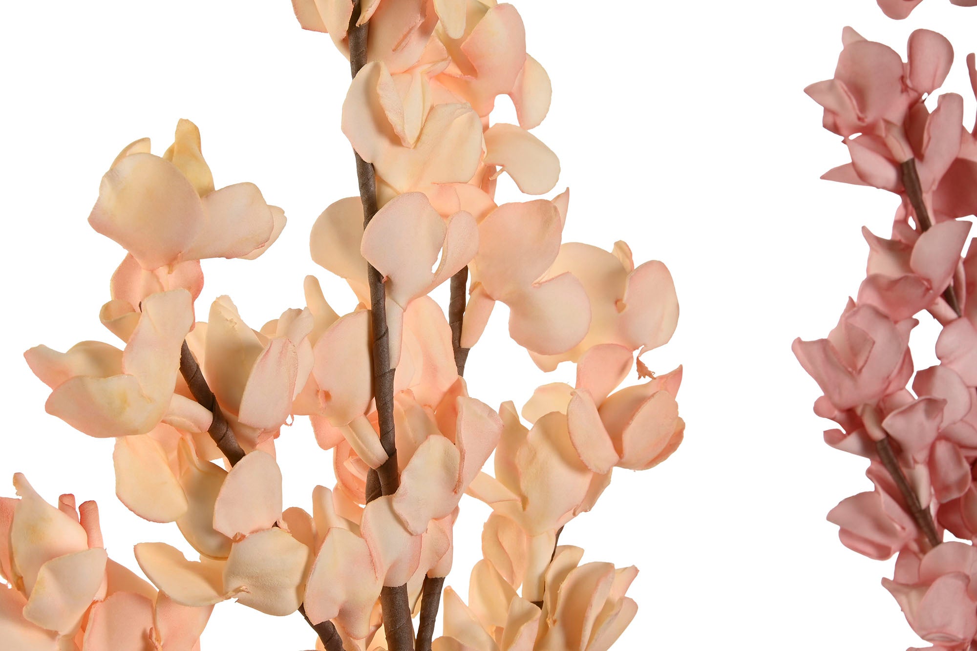 RAMA EVA 20X5X89 2 SURT. - Imagen 2