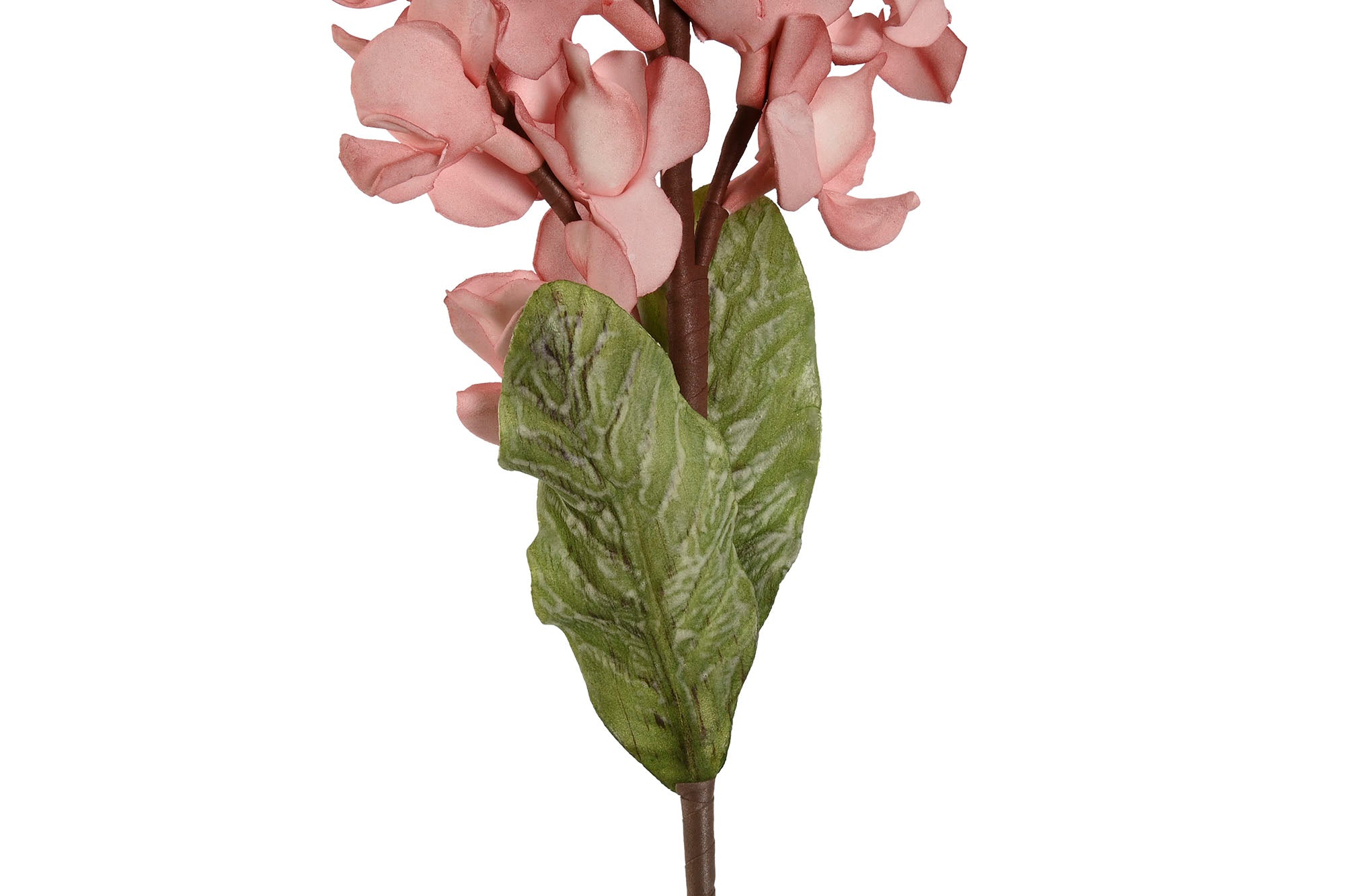 RAMA EVA 20X5X89 2 SURT. - Imagen 3