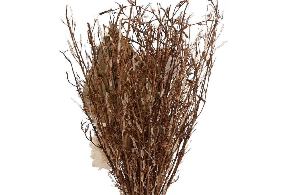 PACK DE 3 PLANTA FLOR SECA CRISTAL 11X11X40 3 SURT.