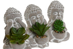 PACK DE 3 PLANTA CEMENTO PE 8,5X7X11 BUDHA 3 SURT.