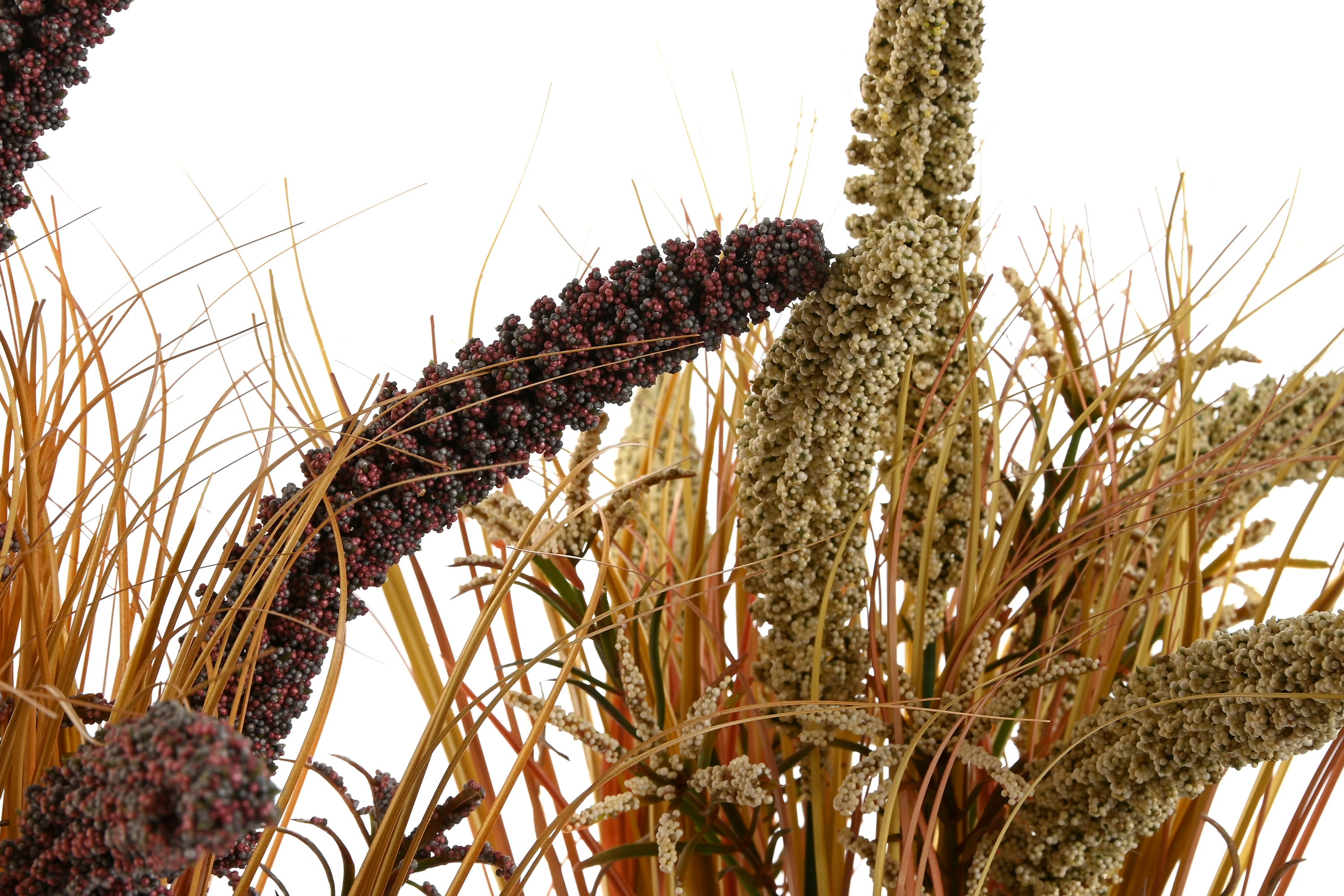 PACK DE 12 PLANTA PE LINO 15X15X50 URARIA CRINITA 2 SURT.