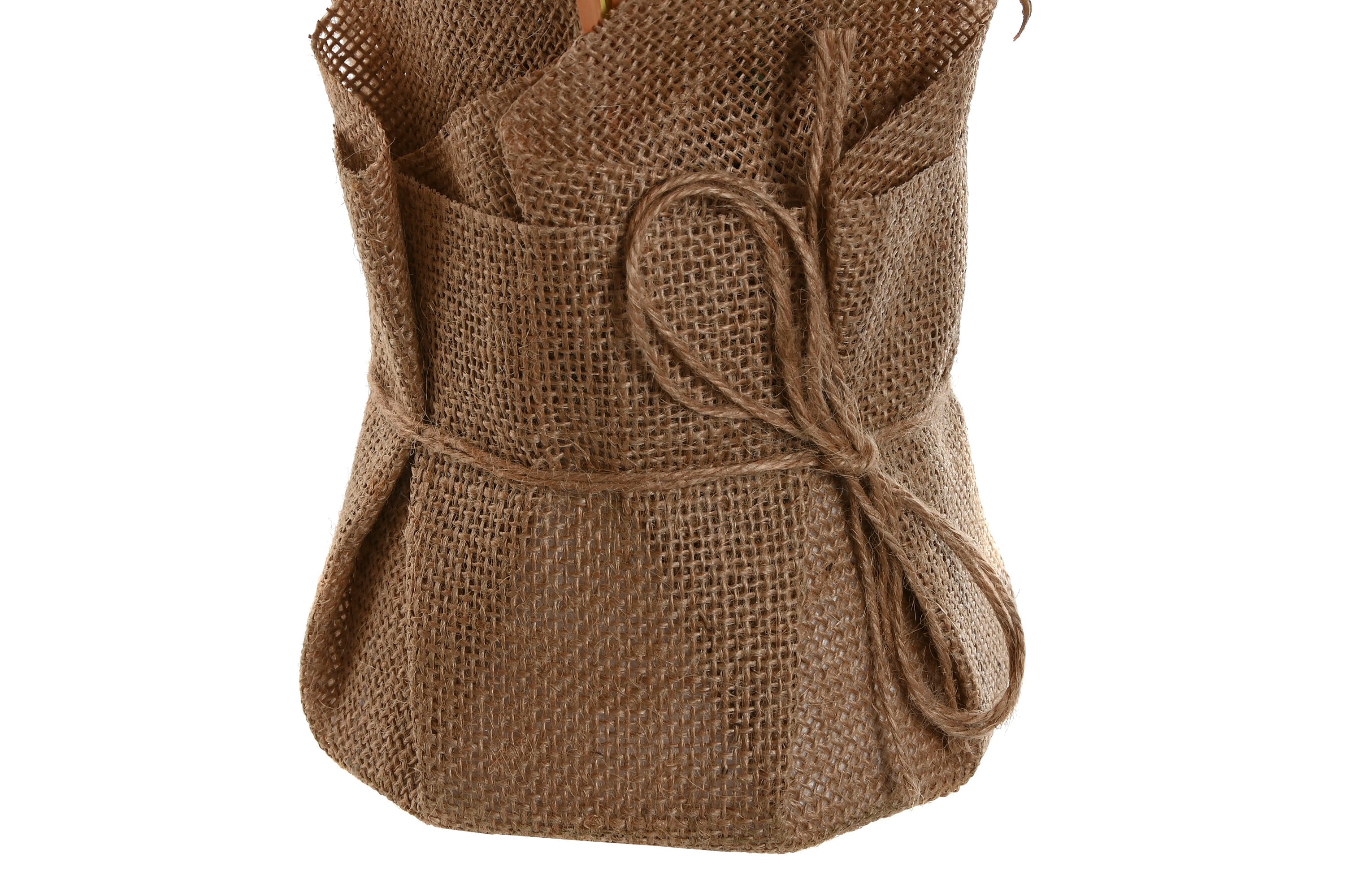 PACK DE 12 PLANTA PE LINO 15X15X50 URARIA CRINITA 2 SURT.