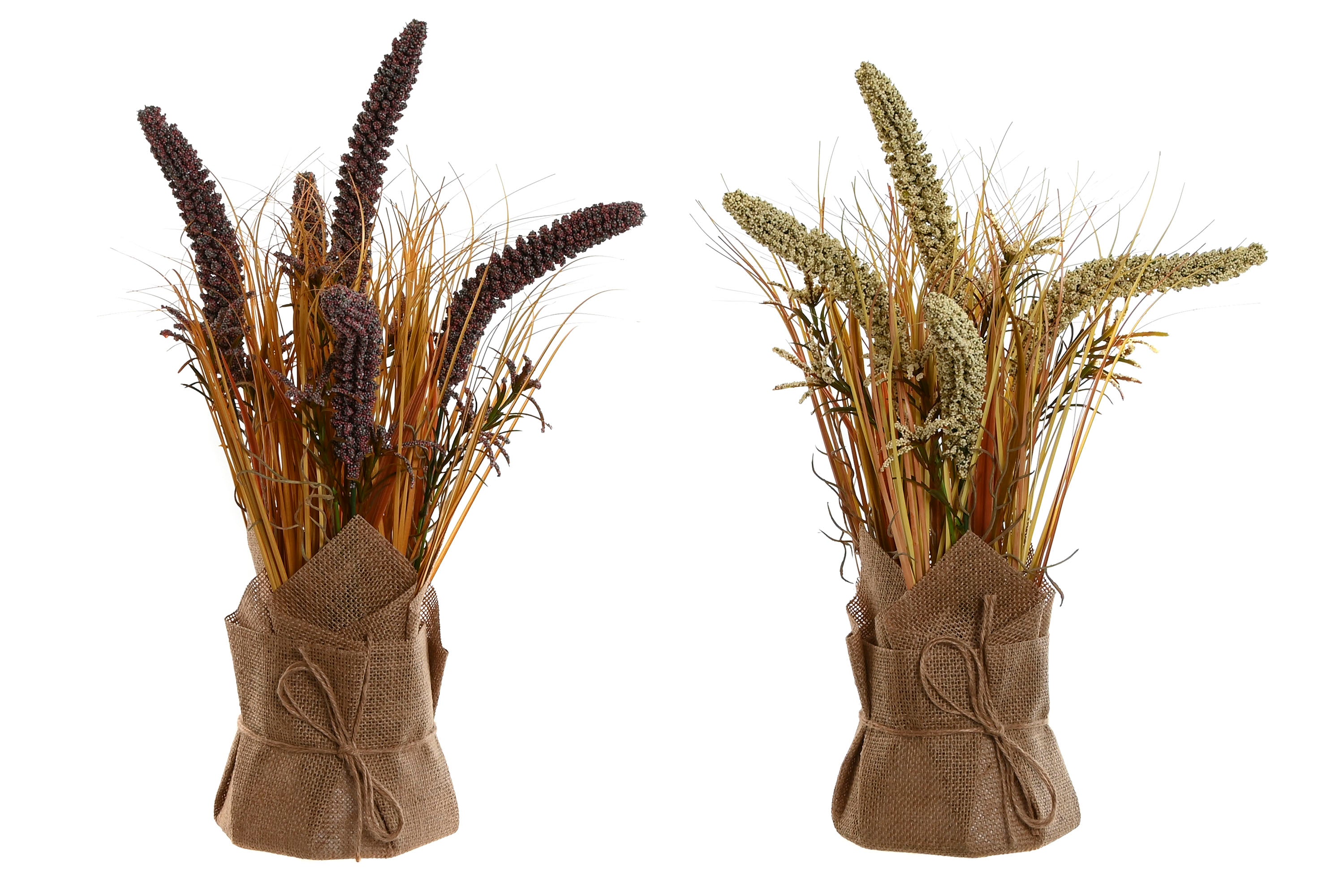 PACK DE 12 PLANTA PE LINO 15X15X50 URARIA CRINITA 2 SURT.