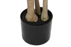 PACK DE 2 ARBOL PE CEMENTO 80X80X180 POLYSCIA BALFOURIANA