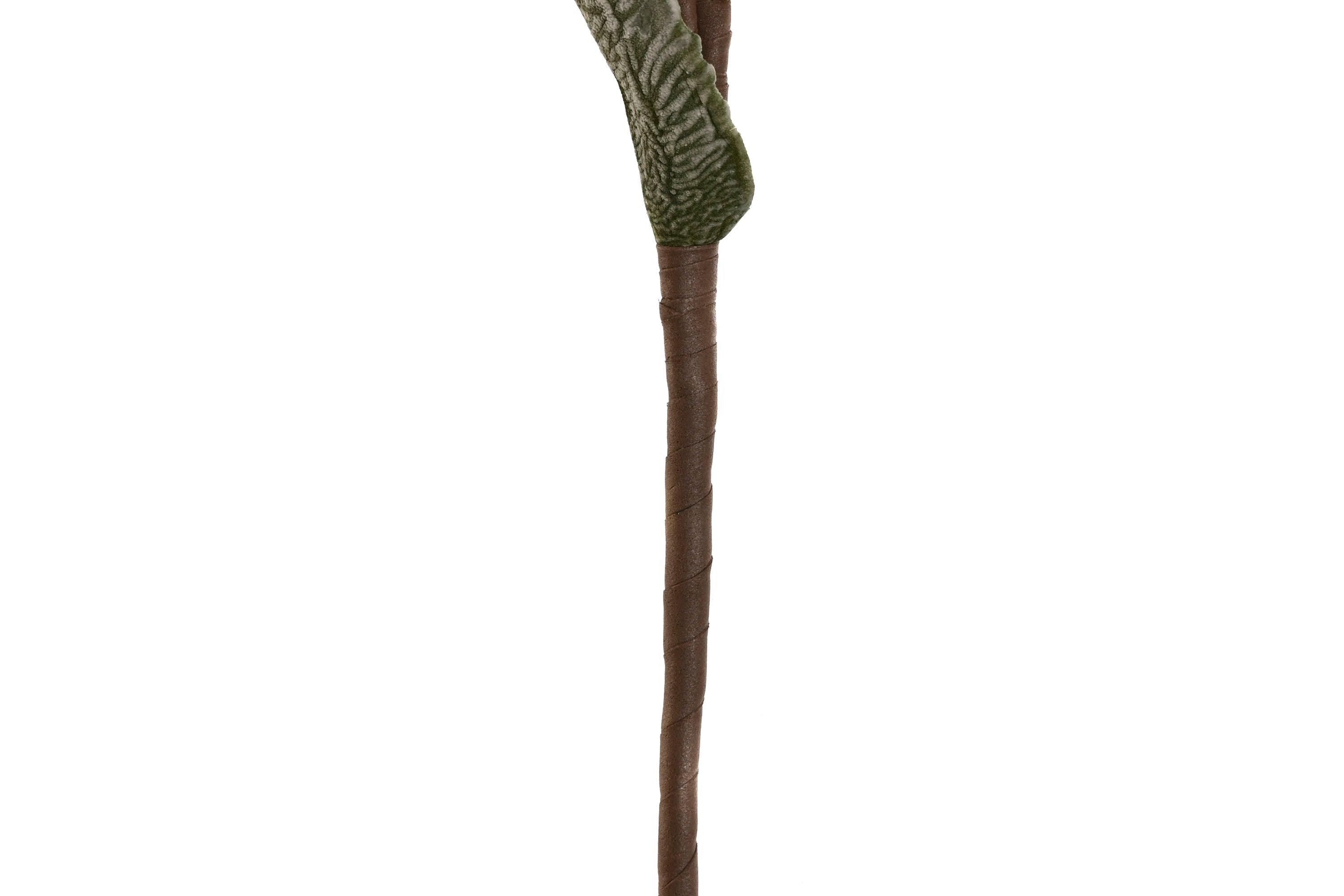 FLOR EVA 20X5X97 ROSA - Imagen 3