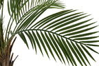 PACK DE 2 PLANTA PE PP 80X80X120 12 HOJAS PALMERA KWAI VERDE