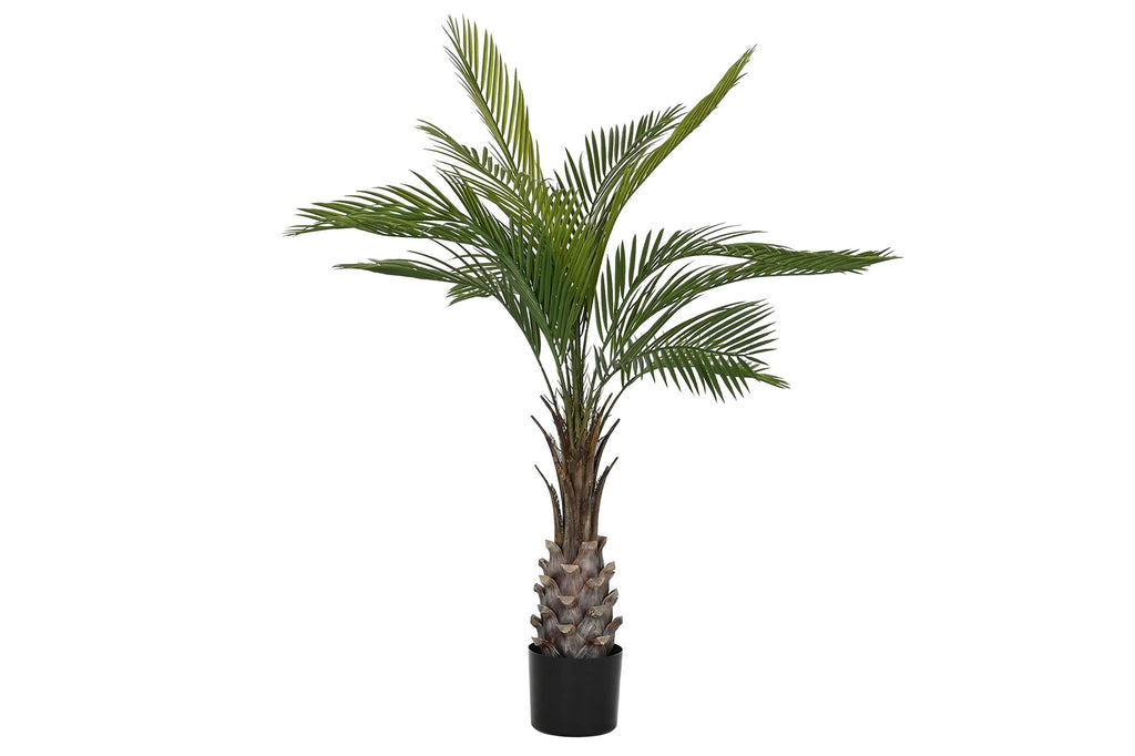 PACK DE 2 PLANTA PE PP 80X80X120 12 HOJAS PALMERA KWAI VERDE