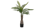 PACK DE 2 PLANTA PE PP 80X80X120 12 HOJAS PALMERA KWAI VERDE