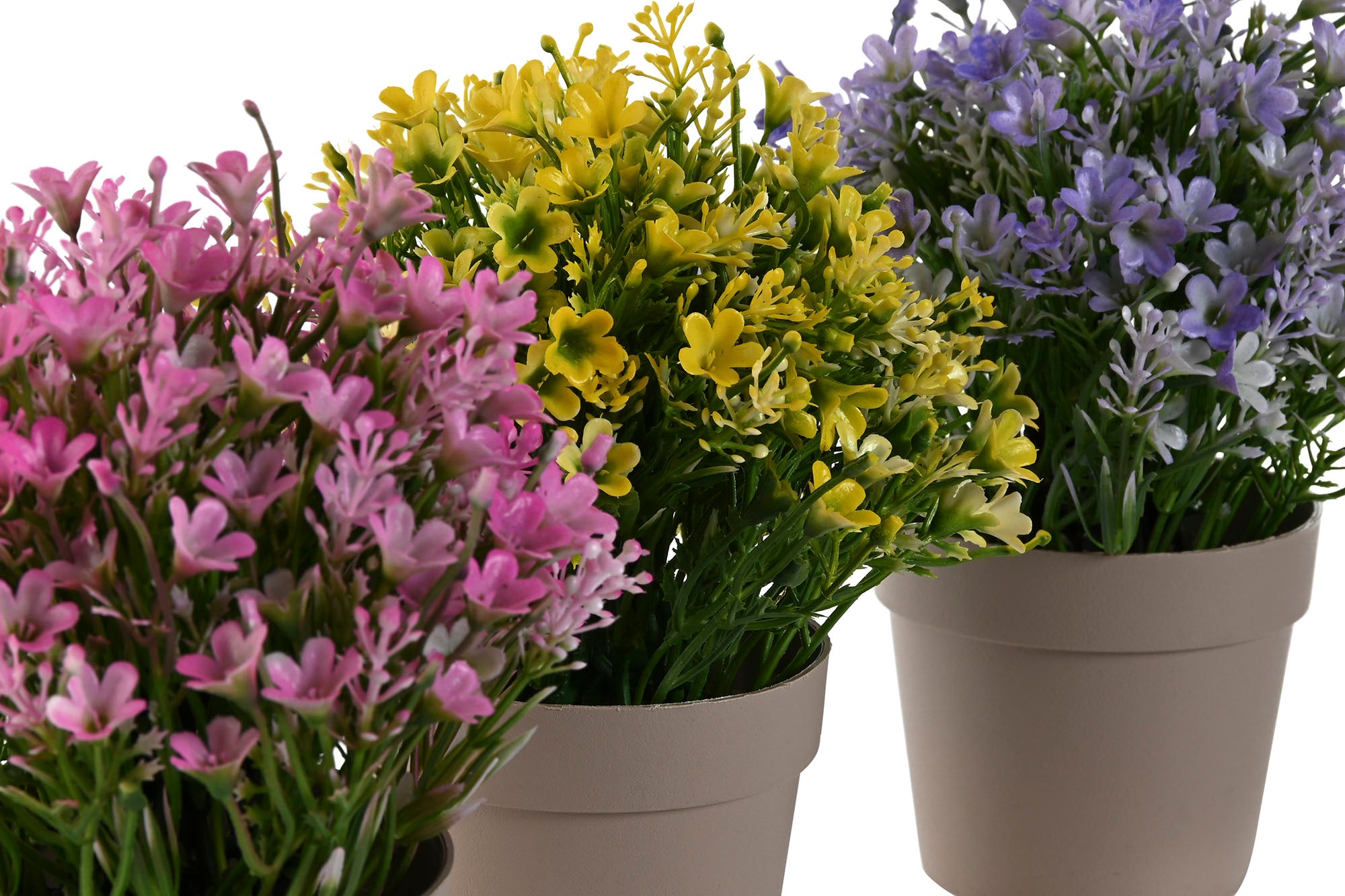 PLANTA PE PP 18X18X19 CAMPANILLA 3 SURT. - Imagen 2