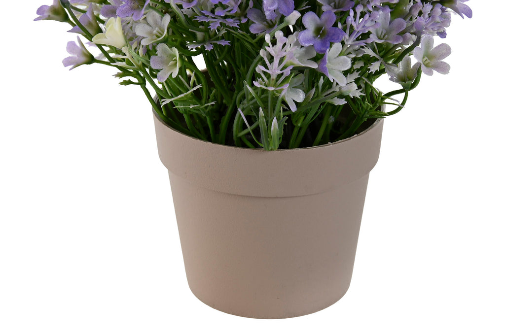 PLANTA PE PP 18X18X19 CAMPANILLA 3 SURT. - Imagen 3