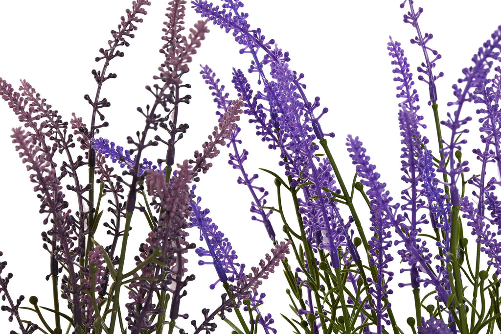 PACK DE 6 PLANTA PE PP 24X24X46 LAVANDA 2 SURT.