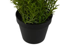 PACK DE 6 PLANTA PE PP 24X24X46 LAVANDA 2 SURT.