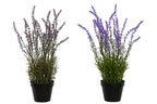 PACK DE 6 PLANTA PE PP 24X24X46 LAVANDA 2 SURT.