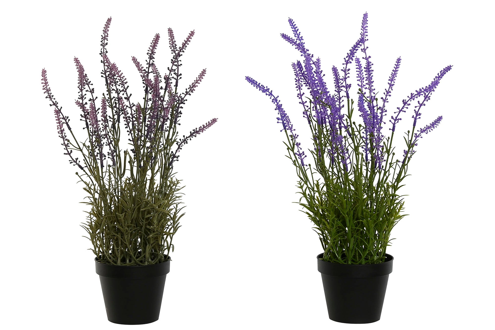 PACK DE 6 PLANTA PE PP 24X24X46 LAVANDA 2 SURT.