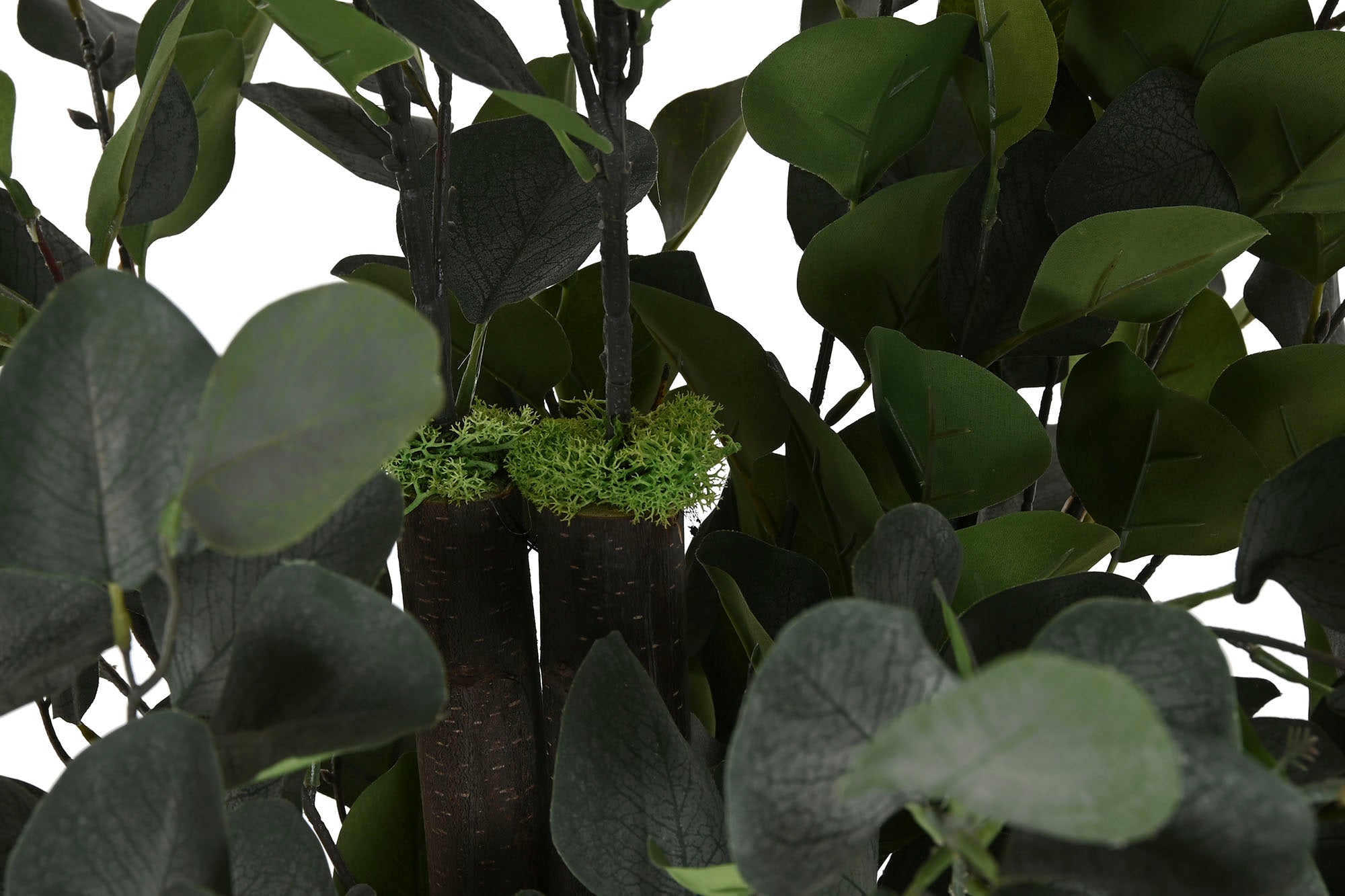 ARBOL POLIESTER MADERA 80X80X150 EUCALIPTO VERDE - Imagen 4