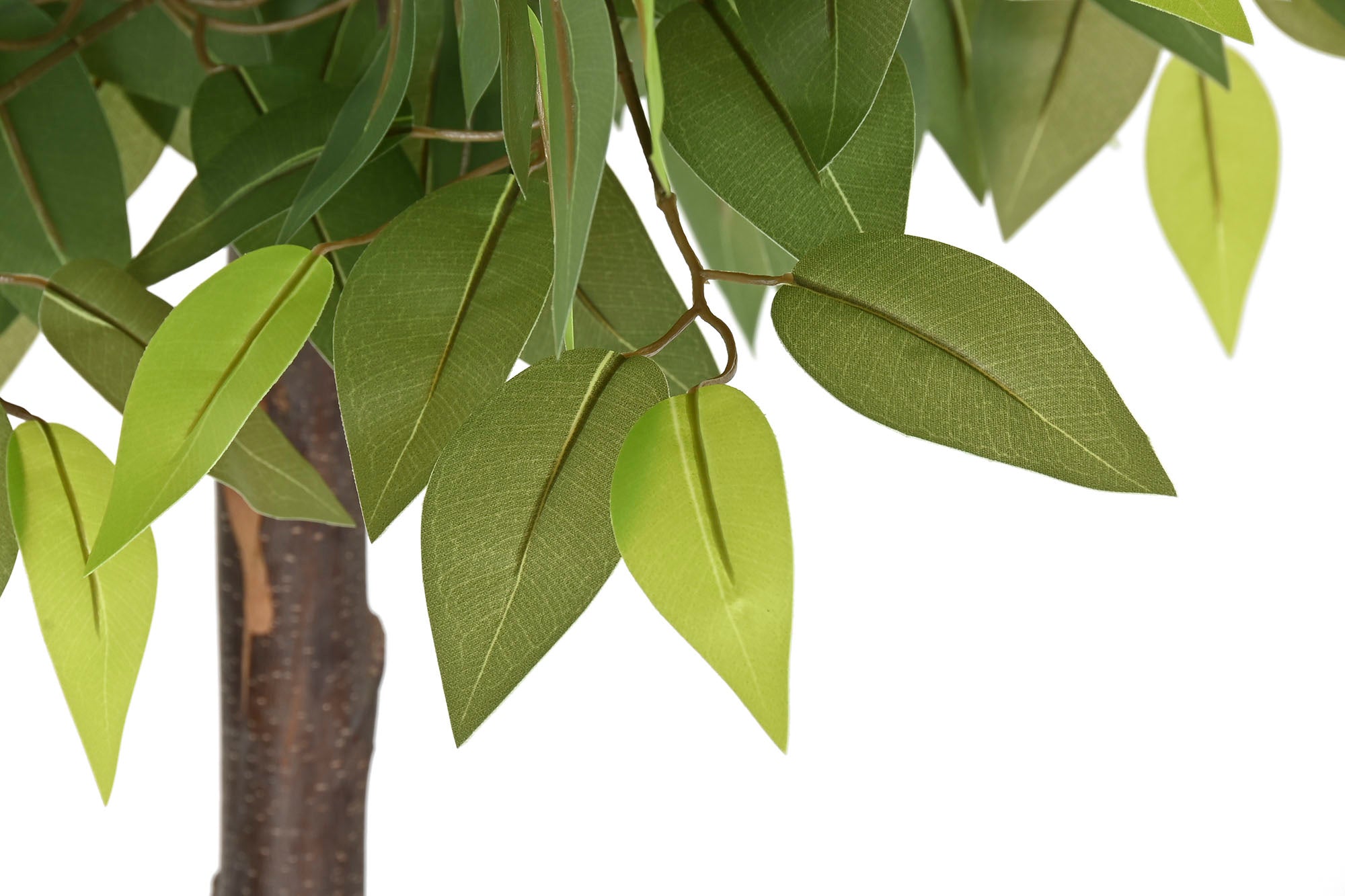 ARBOL POLIESTER MADERA 80X80X150 FICUS 2 COPAS - Imagen 2