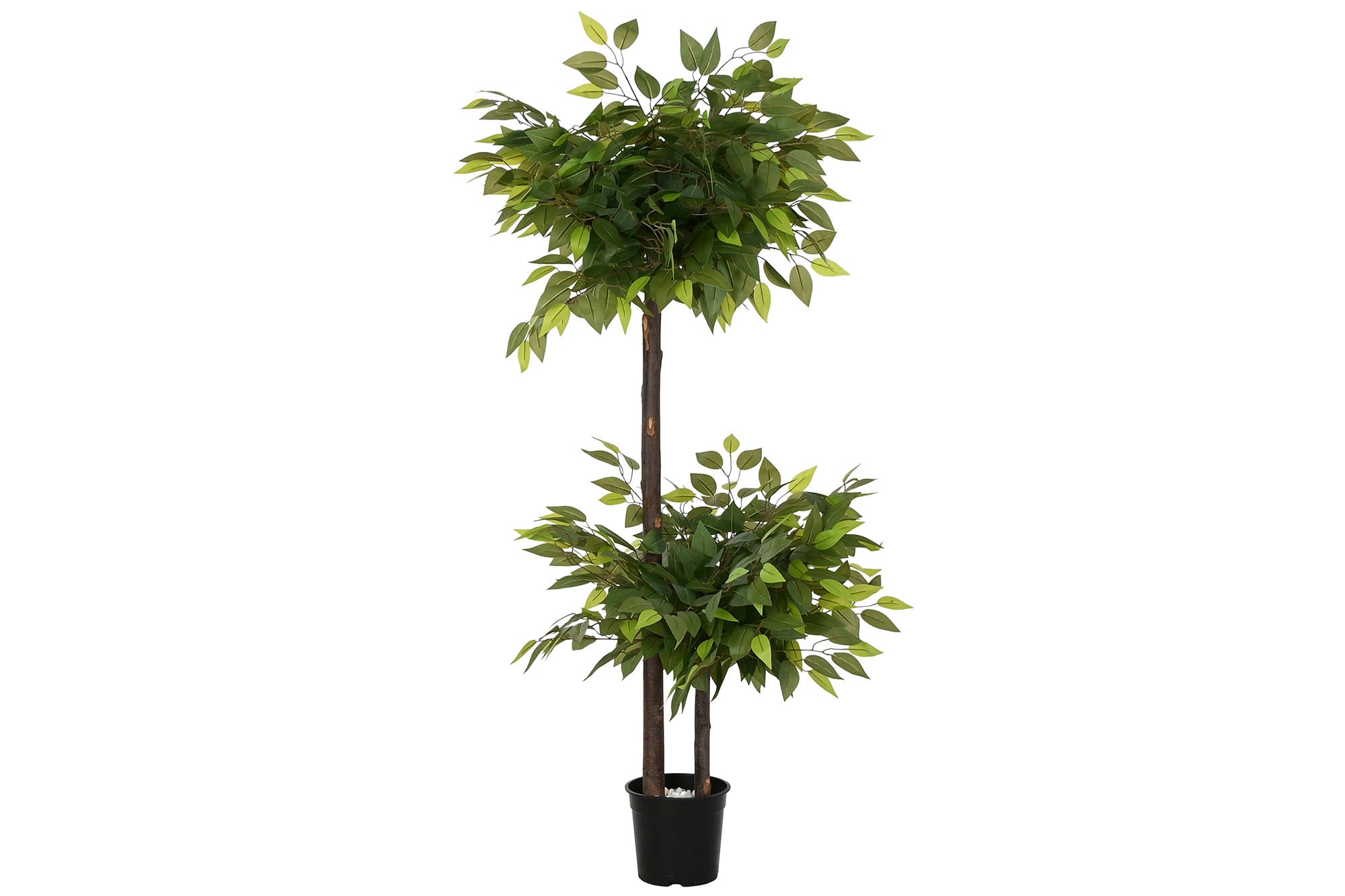ARBOL POLIESTER MADERA 80X80X150 FICUS 2 COPAS - Imagen 1