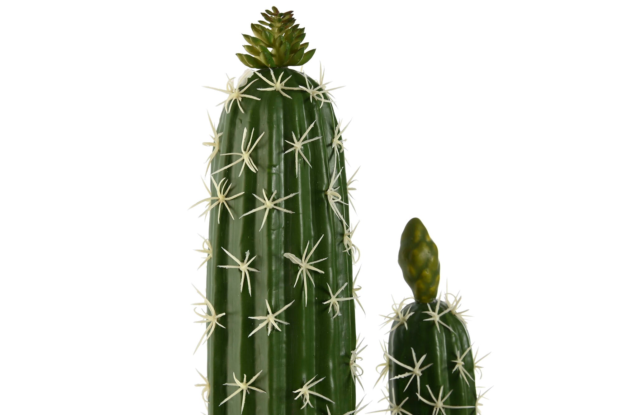 PACK DE 2 PLANTA FOAM PP 21X16X70 CACTUS VERDE