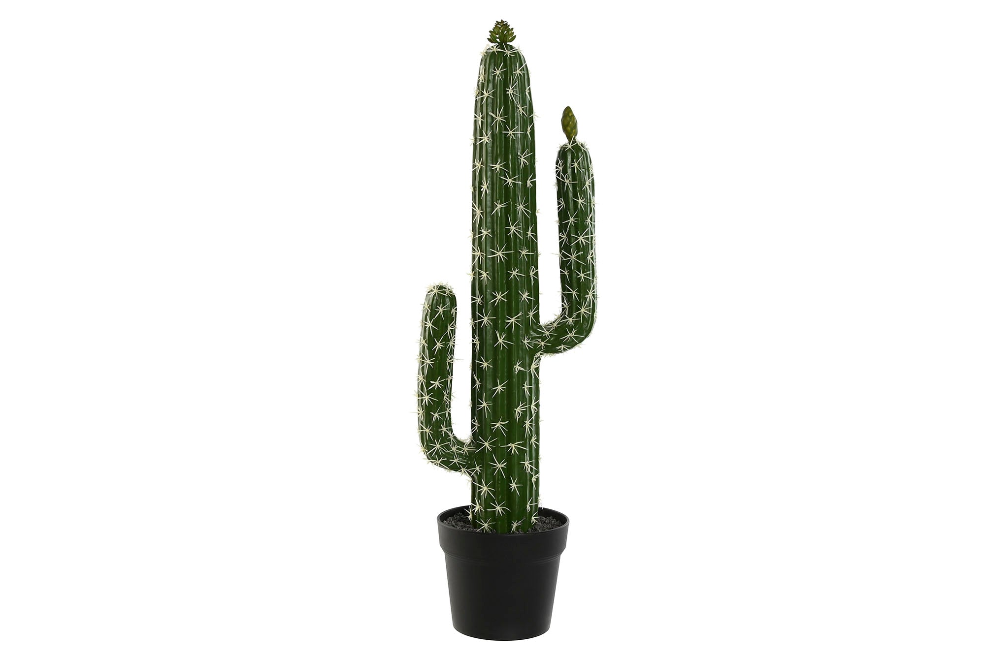 PACK DE 2 PLANTA FOAM PP 21X16X70 CACTUS VERDE