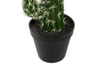 PLANTA FOAM PP 18X12,5X54 CACTUS VERDE - Imagen 3