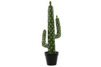PLANTA FOAM PP 18X12,5X54 CACTUS VERDE - Imagen 1