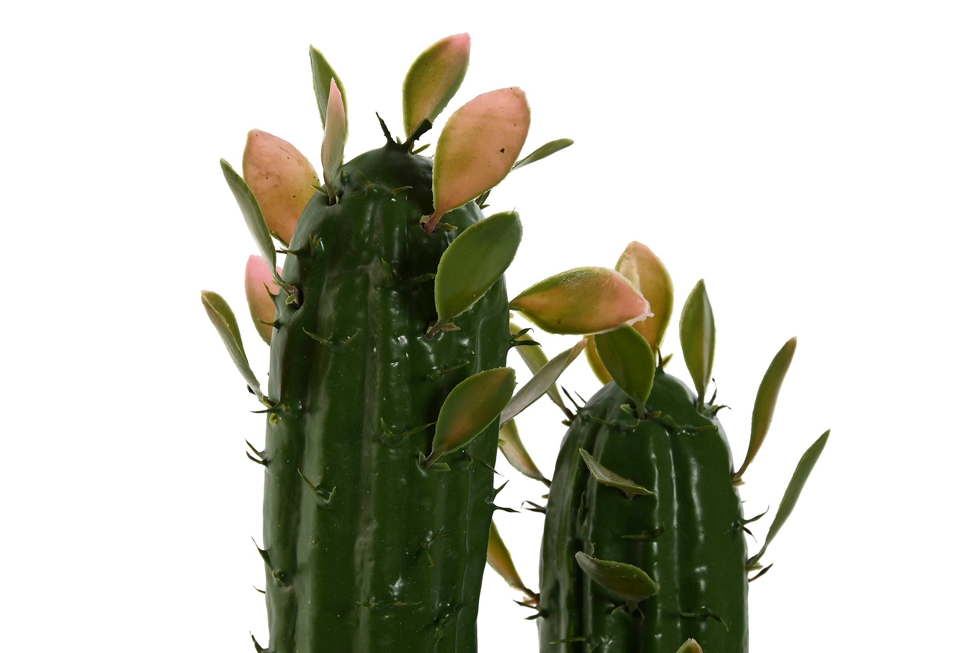 PACK DE 6 PLANTA FOAM PP 10X12X28 CACTUS VERDE