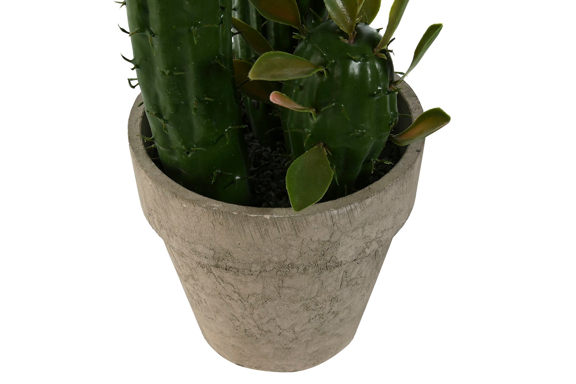 PACK DE 6 PLANTA FOAM PP 10X12X28 CACTUS VERDE