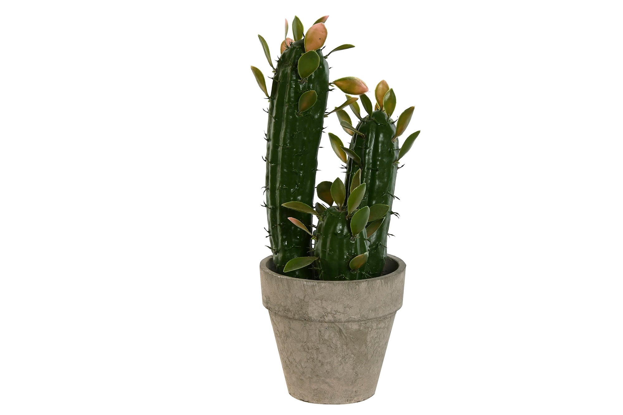 PACK DE 6 PLANTA FOAM PP 10X12X28 CACTUS VERDE