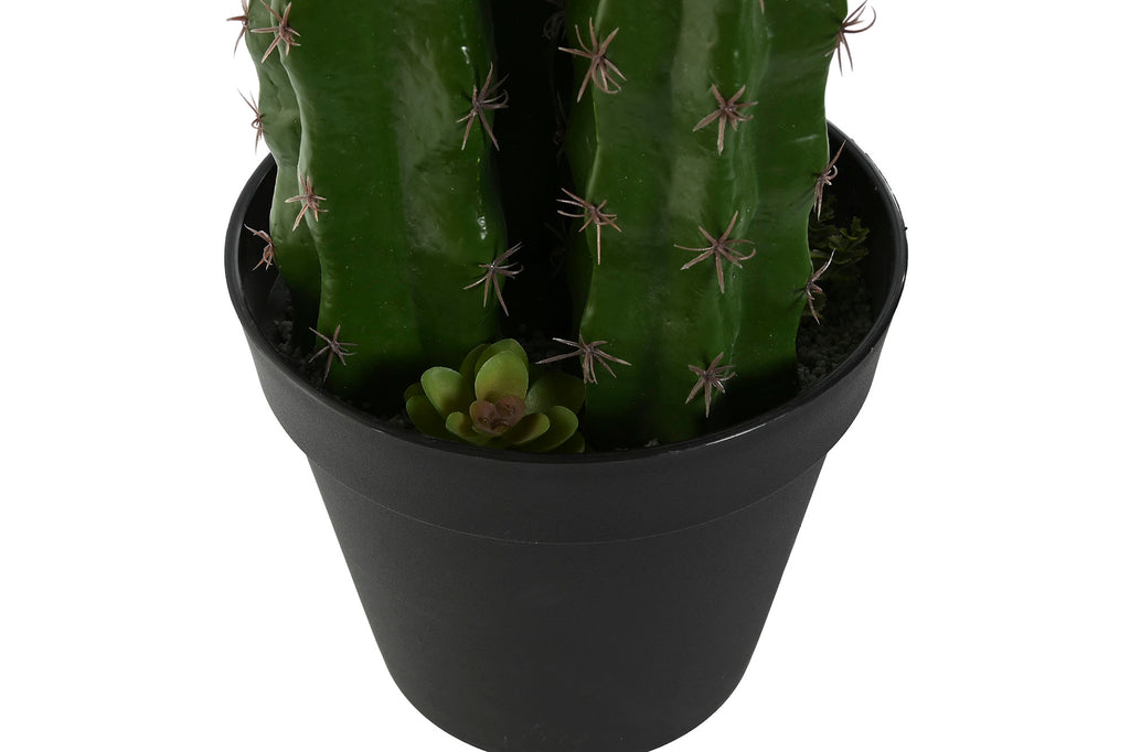 PACK DE 2 PLANTA FOAM PP 22X22X69 CACTUS VERDE