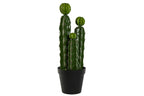 PACK DE 2 PLANTA FOAM PP 22X22X69 CACTUS VERDE