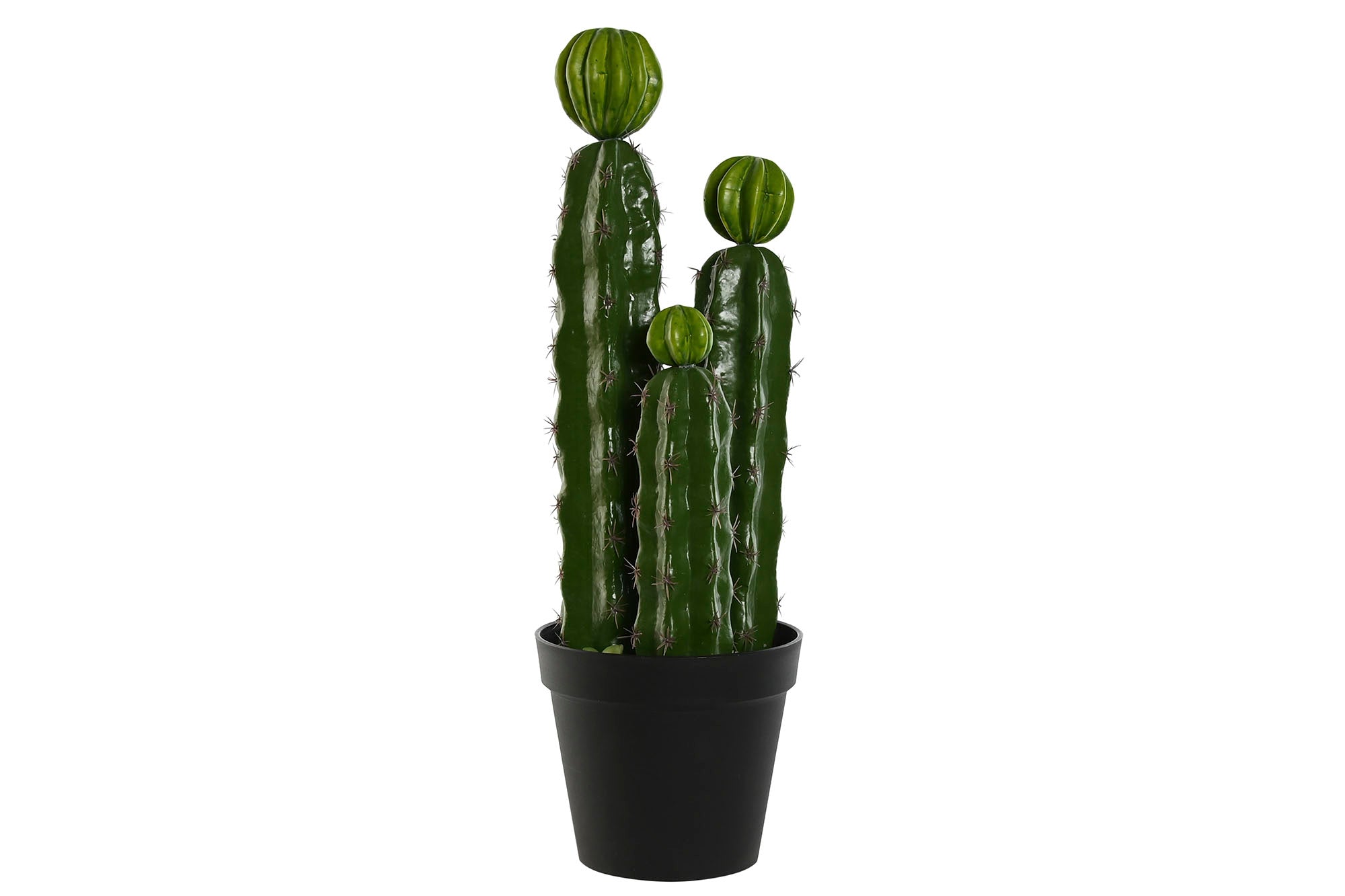 PACK DE 2 PLANTA FOAM PP 22X22X69 CACTUS VERDE
