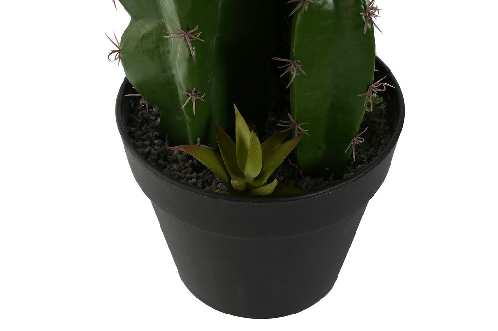 PLANTA FOAM PP 19X18X47 CACTUS VERDE - Imagen 3