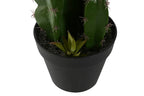 PLANTA FOAM PP 19X18X47 CACTUS VERDE - Imagen 3