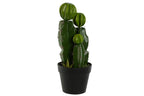 PLANTA FOAM PP 19X18X47 CACTUS VERDE - Imagen 1