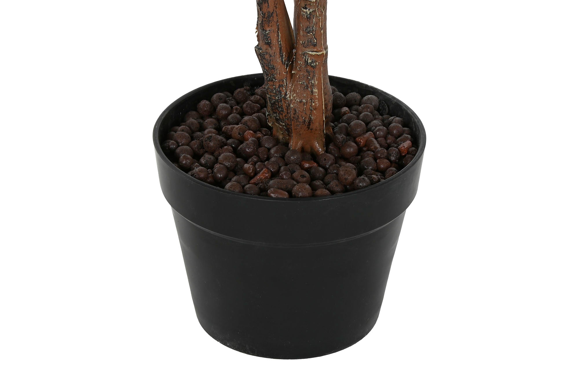 PLANTA PE 50X50X120 SCHEFFLERA VERDE - Imagen 4