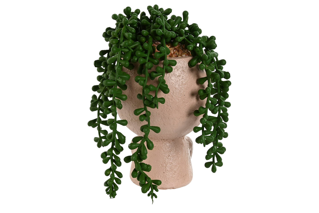 PLANTA RESINA PE 14,5X13X18 3 SURT. - Imagen 3