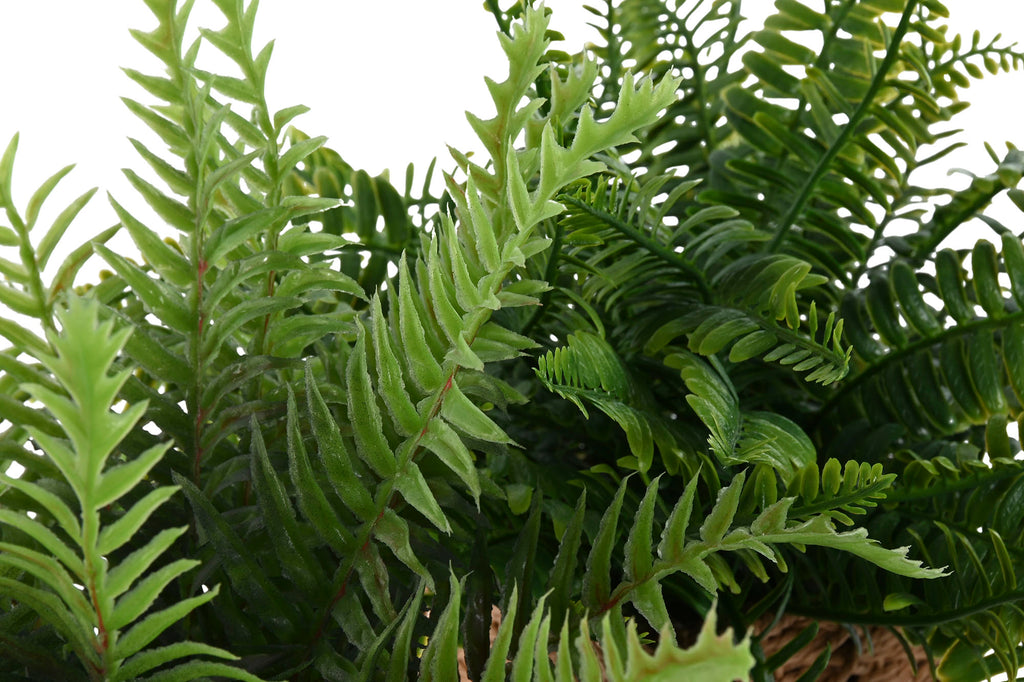 PLANTA FIBRA PE 33X33X29 2 SURT. - Imagen 3