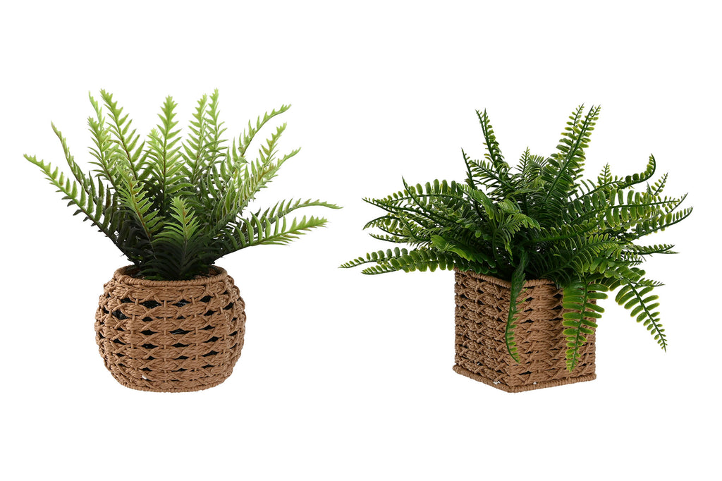 PLANTA FIBRA PE 33X33X29 2 SURT. - Imagen 2