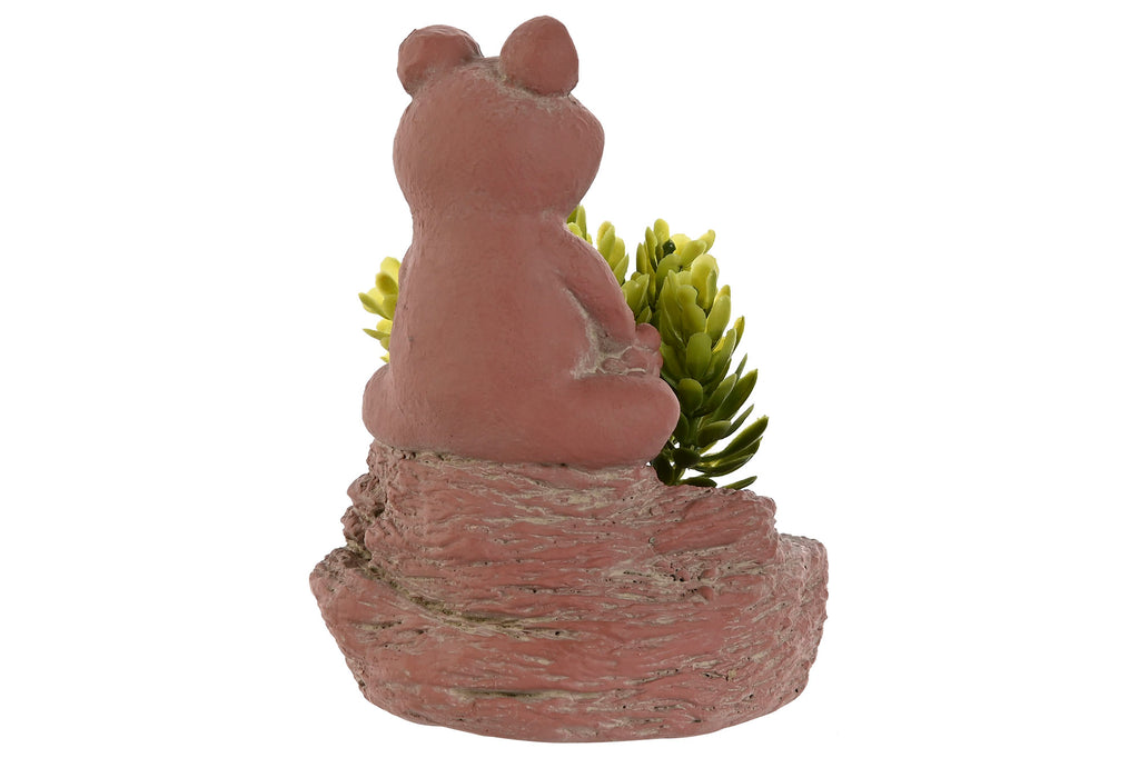 PLANTA CEMENTO PE 9X9X13 RANA 3 SURT. - Imagen 3