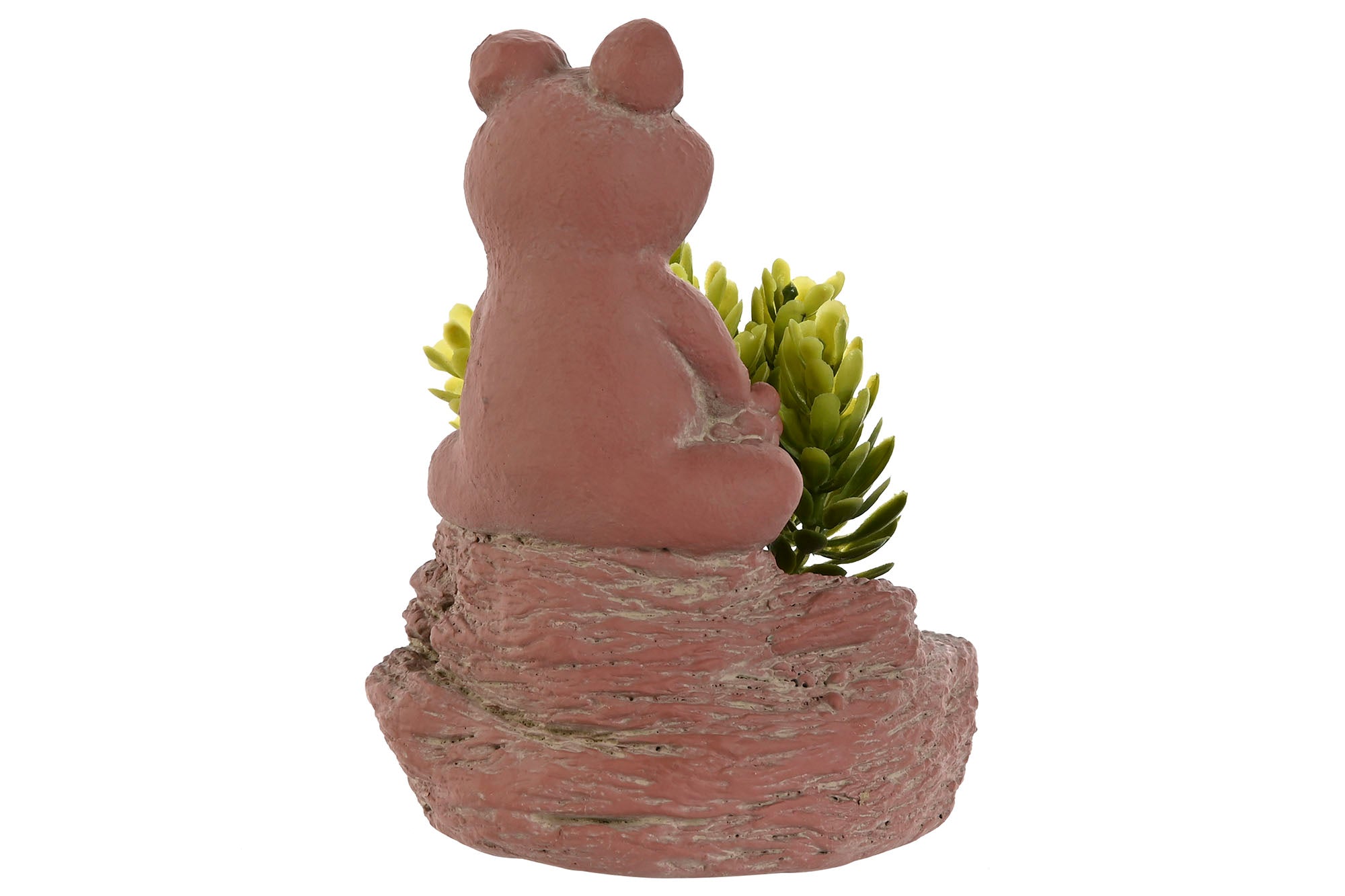 PLANTA CEMENTO PE 9X9X13 RANA 3 SURT. - Imagen 3