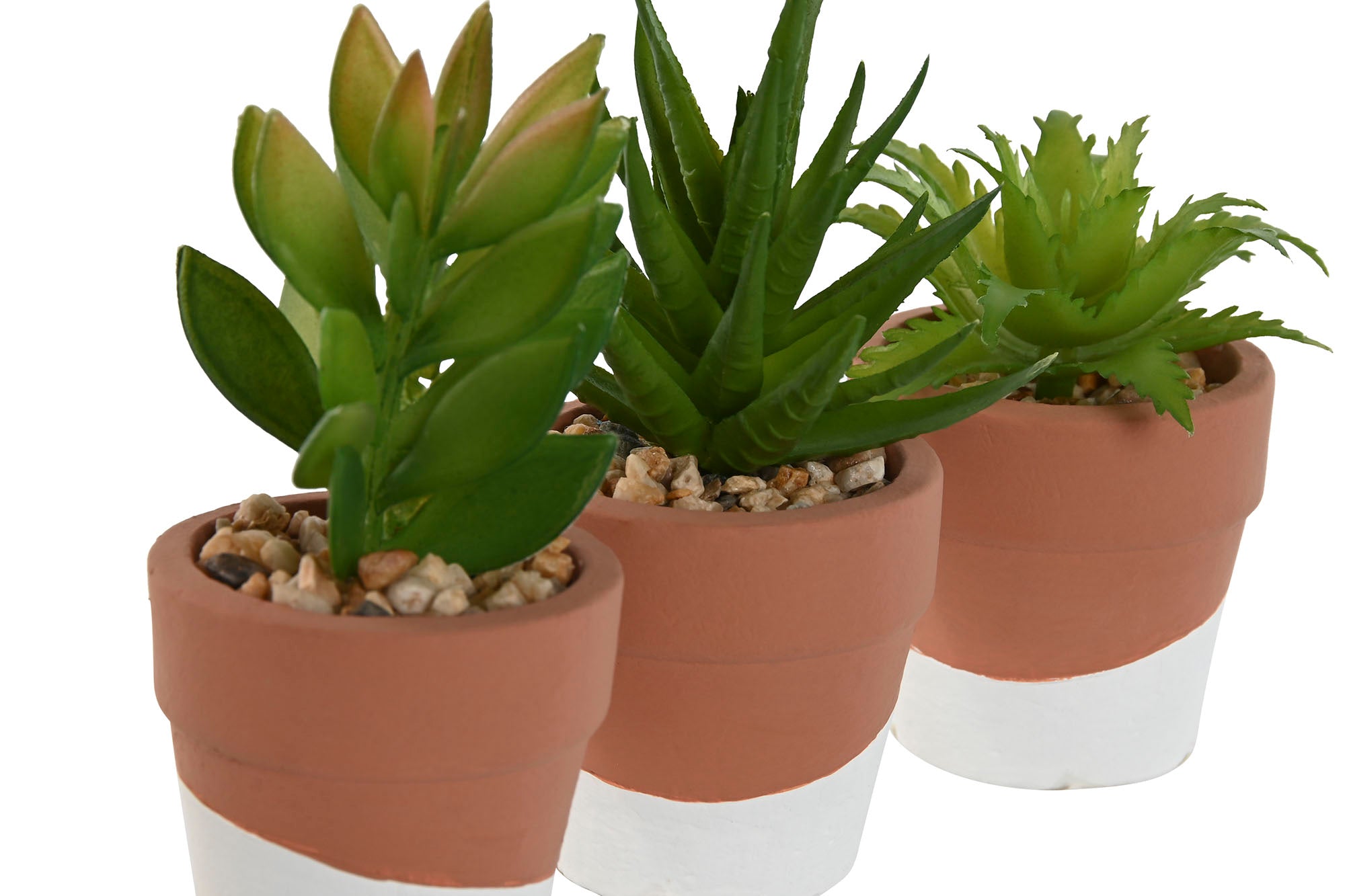 PACK DE 6 PLANTA CEMENTO PE 5,5X5,5X13 3 SURT.