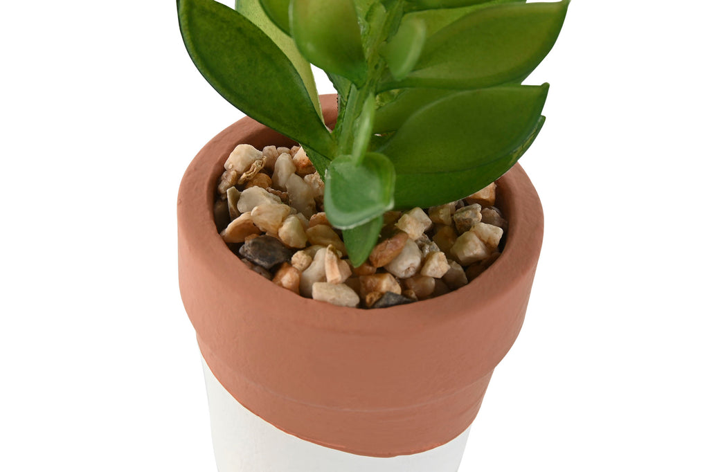 PACK DE 6 PLANTA CEMENTO PE 5,5X5,5X13 3 SURT.