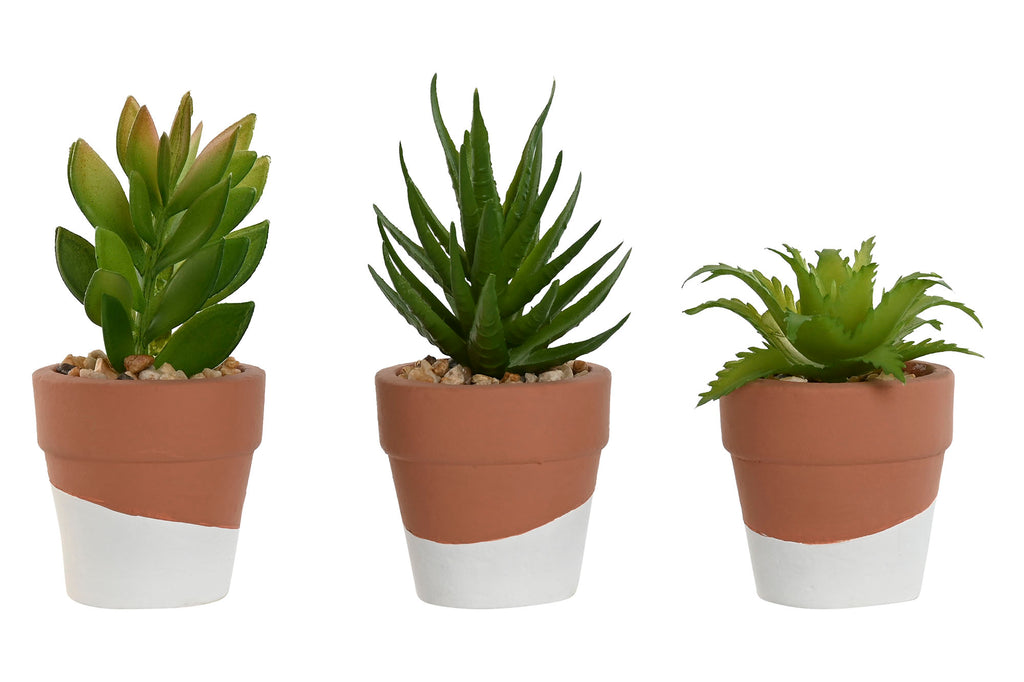 PACK DE 6 PLANTA CEMENTO PE 5,5X5,5X13 3 SURT.