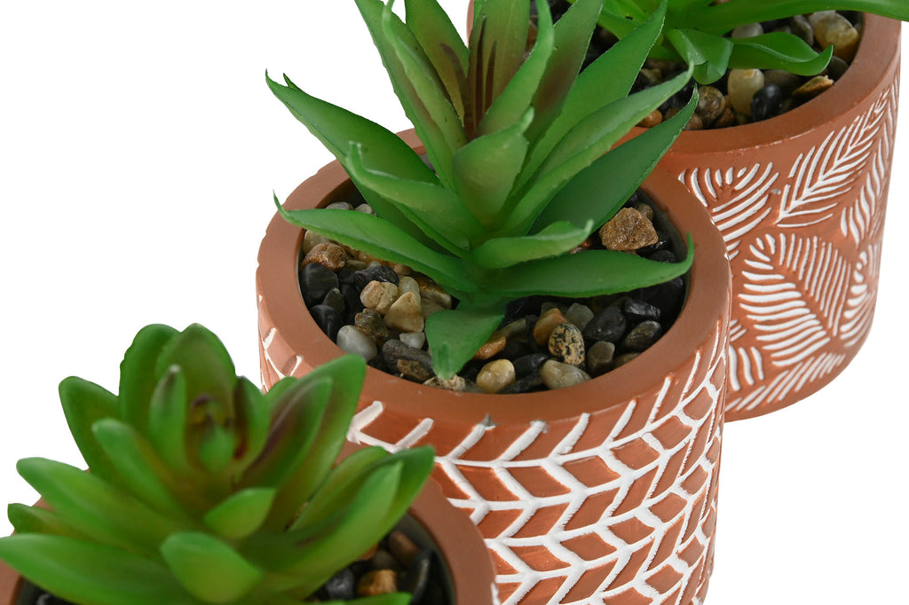 PLANTA CEMENTO PE 7,5X7,5X16,5 3 SURT. - Imagen 3