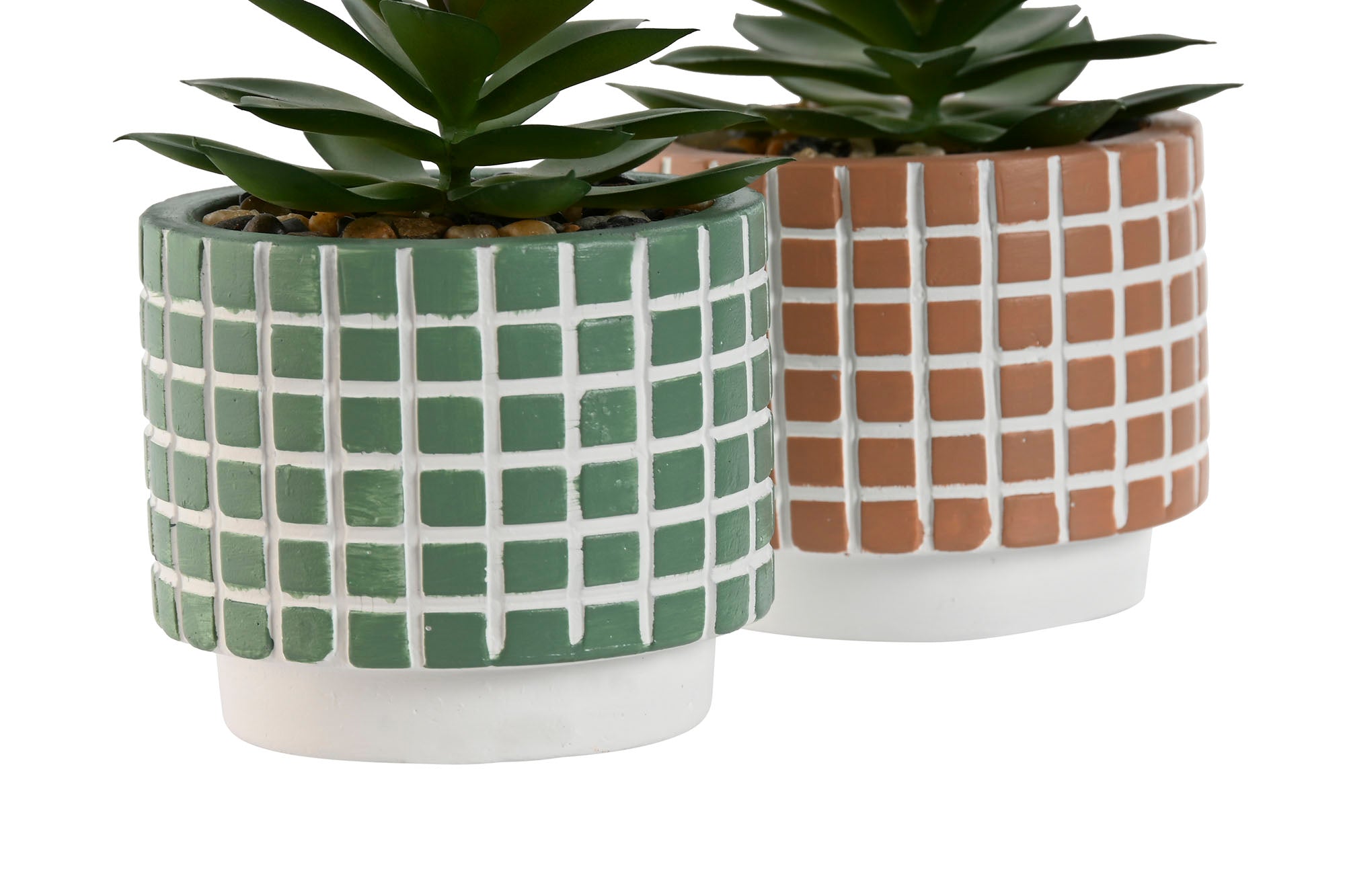 PACK DE 12 PLANTA CEMENTO PE 8X8X10 2 SURT.