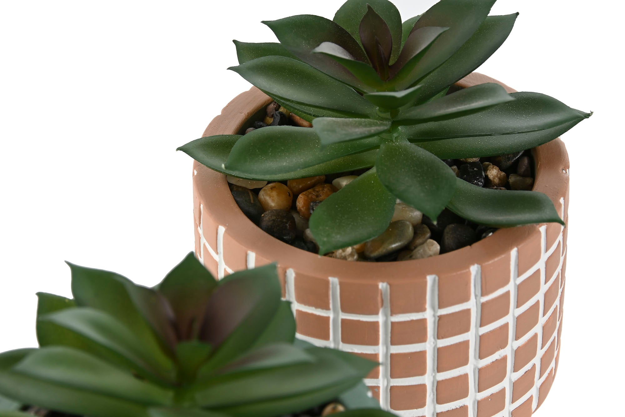 PACK DE 12 PLANTA CEMENTO PE 8X8X10 2 SURT.