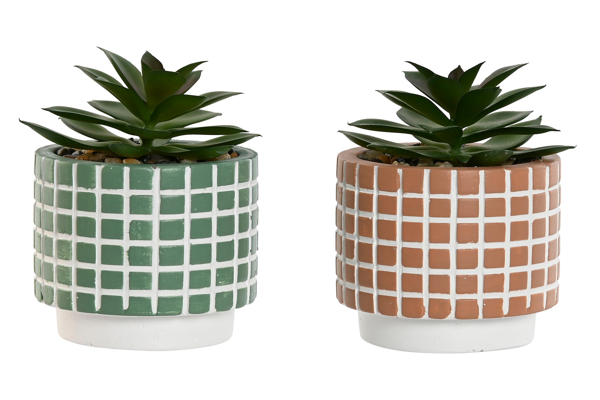 PACK DE 12 PLANTA CEMENTO PE 8X8X10 2 SURT.